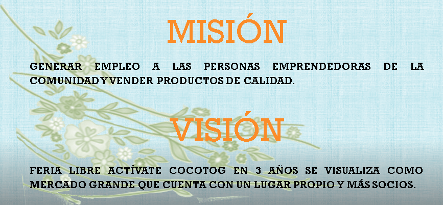 Mision y vicion Cocotog